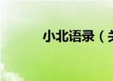 小北语录（关于小北语录介绍）