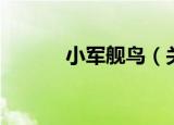 小军舰鸟（关于小军舰鸟介绍）