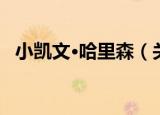 小凯文·哈里森（关于小凯文·哈里森介绍）