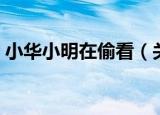 小华小明在偷看（关于小华小明在偷看介绍）