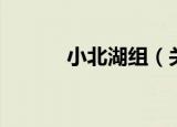 小北湖组（关于小北湖组介绍）