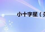 小十字星（关于小十字星介绍）