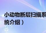 小动物断层扫描系统（关于小动物断层扫描系统介绍）