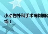 小动物外科手术病例图谱（关于小动物外科手术病例图谱介绍）