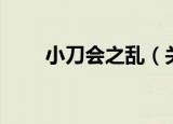 小刀会之乱（关于小刀会之乱介绍）
