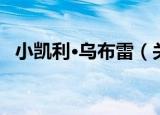 小凯利·乌布雷（关于小凯利·乌布雷介绍）