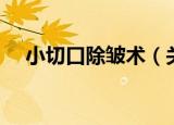 小切口除皱术（关于小切口除皱术介绍）
