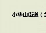 小华山街道（关于小华山街道介绍）