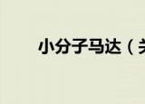 小分子马达（关于小分子马达介绍）