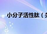小分子活性肽（关于小分子活性肽介绍）