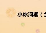小冰河期（关于小冰河期介绍）