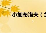 小加布洛夫（关于小加布洛夫介绍）