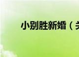 小别胜新婚（关于小别胜新婚介绍）