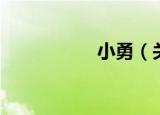 小勇（关于小勇介绍）