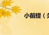 小前提（关于小前提介绍）