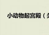 小动物起宫殿（关于小动物起宫殿介绍）
