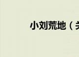 小刘荒地（关于小刘荒地介绍）
