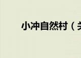 小冲自然村（关于小冲自然村介绍）