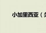小加里西亚（关于小加里西亚介绍）
