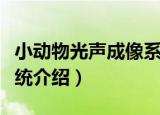 小动物光声成像系统（关于小动物光声成像系统介绍）