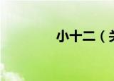 小十二（关于小十二介绍）