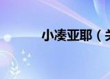 小凑亚耶（关于小凑亚耶介绍）