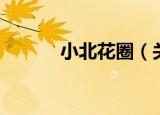 小北花圈（关于小北花圈介绍）
