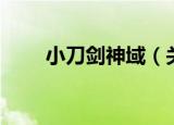小刀剑神域（关于小刀剑神域介绍）