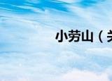 小劳山（关于小劳山介绍）