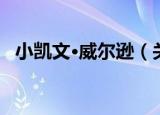 小凯文·威尔逊（关于小凯文·威尔逊介绍）