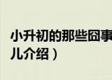小升初的那些囧事儿（关于小升初的那些囧事儿介绍）