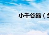 小千谷缩（关于小千谷缩介绍）