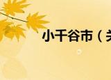小千谷市（关于小千谷市介绍）