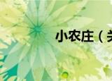 小农庄（关于小农庄介绍）