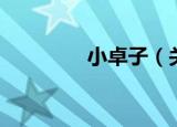 小卓子（关于小卓子介绍）