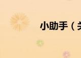 小助手（关于小助手介绍）