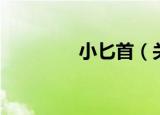 小匕首（关于小匕首介绍）