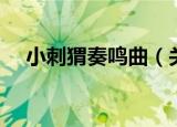 小刺猬奏鸣曲（关于小刺猬奏鸣曲介绍）