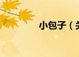 小包子（关于小包子介绍）