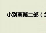 小别离第二部（关于小别离第二部介绍）