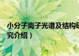 小分子离子光谱及结构研究（关于小分子离子光谱及结构研究介绍）