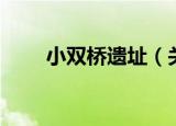 小双桥遗址（关于小双桥遗址介绍）