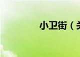 小卫街（关于小卫街介绍）