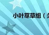 小叶荩草组（关于小叶荩草组介绍）
