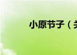 小原节子（关于小原节子介绍）