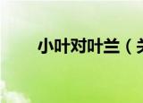 小叶对叶兰（关于小叶对叶兰介绍）