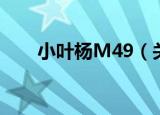小叶杨M49（关于小叶杨M49介绍）