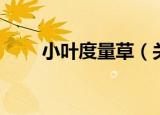 小叶度量草（关于小叶度量草介绍）