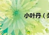 小叶丹（关于小叶丹介绍）