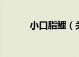 小口脂鲤（关于小口脂鲤介绍）